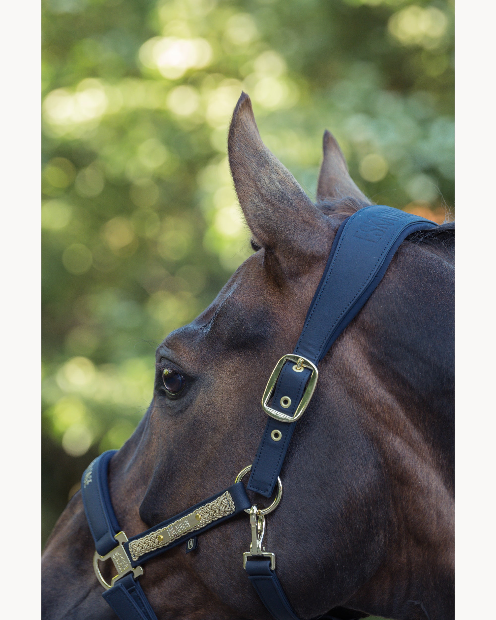 Eskadron Faux Leather Double Pin Headcollar Heritage 25