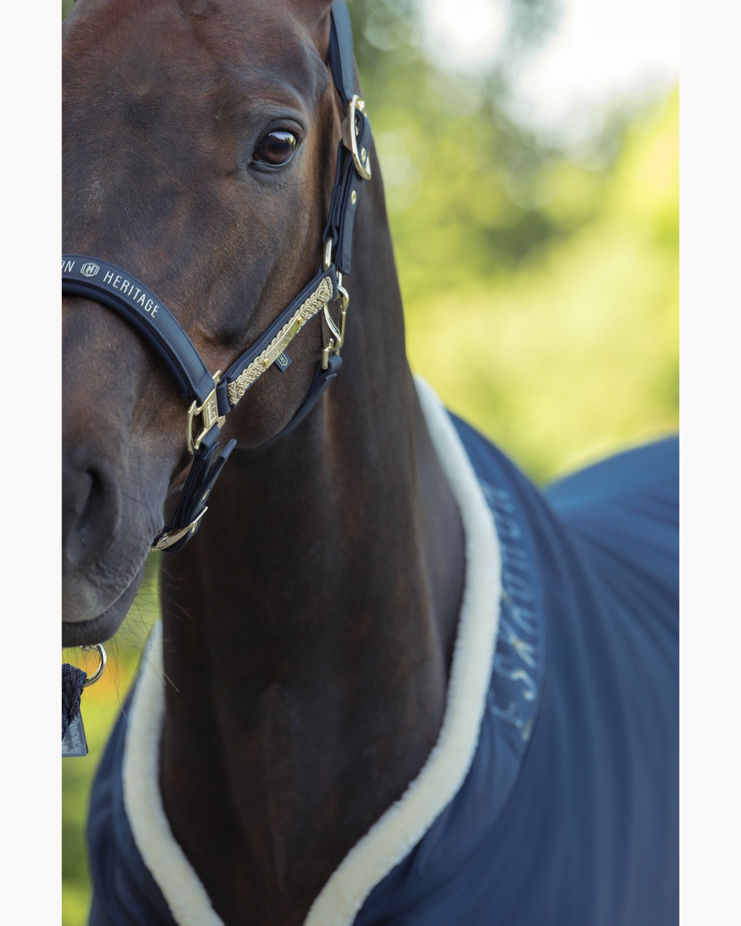 Eskadron Faux Leather Double Pin Headcollar Heritage 25