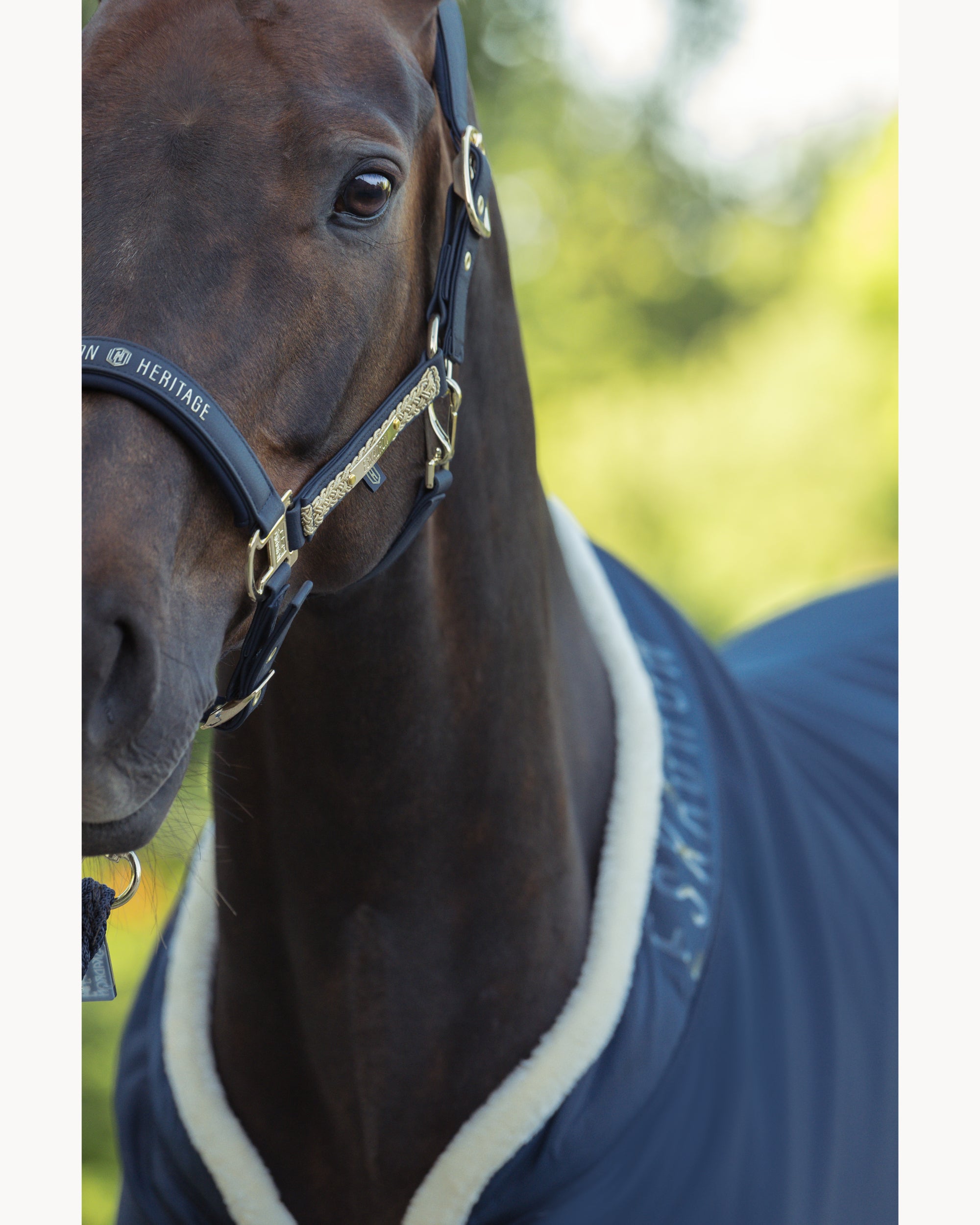 Eskadron Faux Leather Double Pin Headcollar Heritage 25