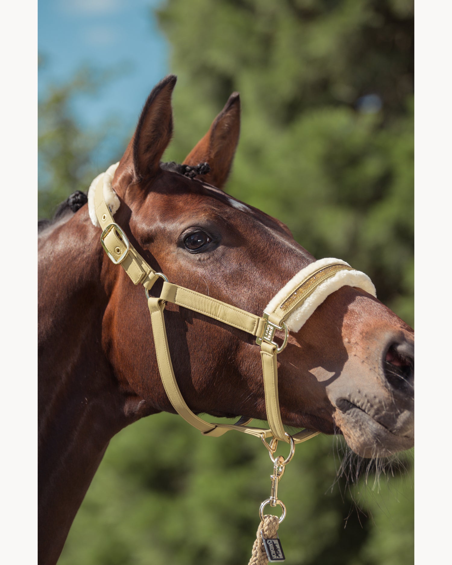 Eskadron Faux Leather/Fur Jewel Double Pin Headcollar Heritage 25