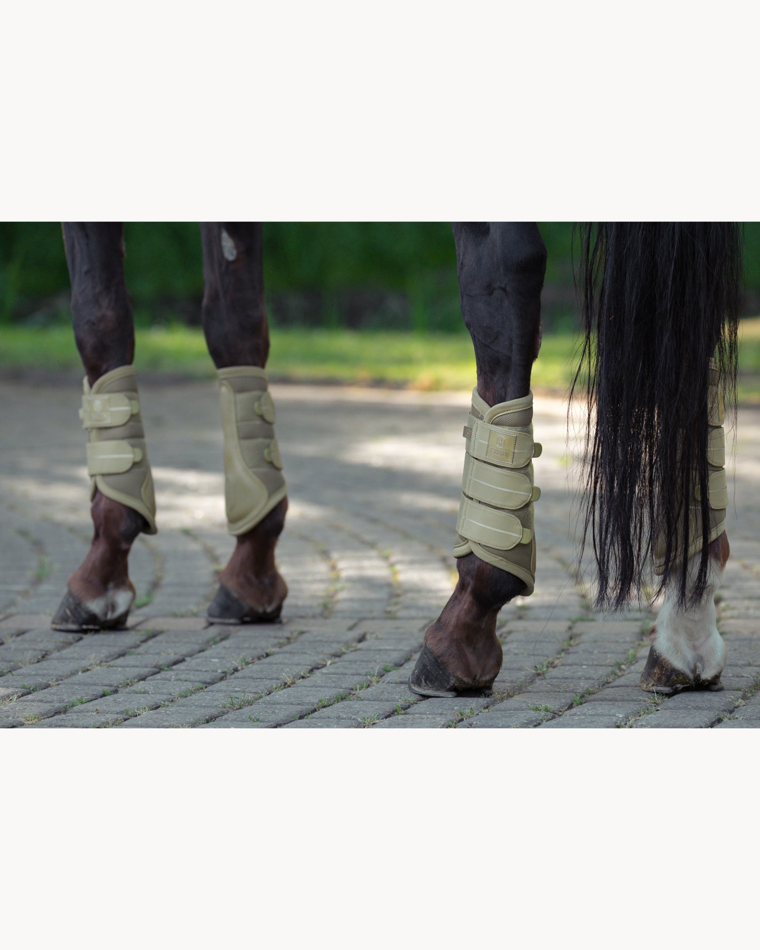 Eskadron Mesh Tendon Boots Heritage 25