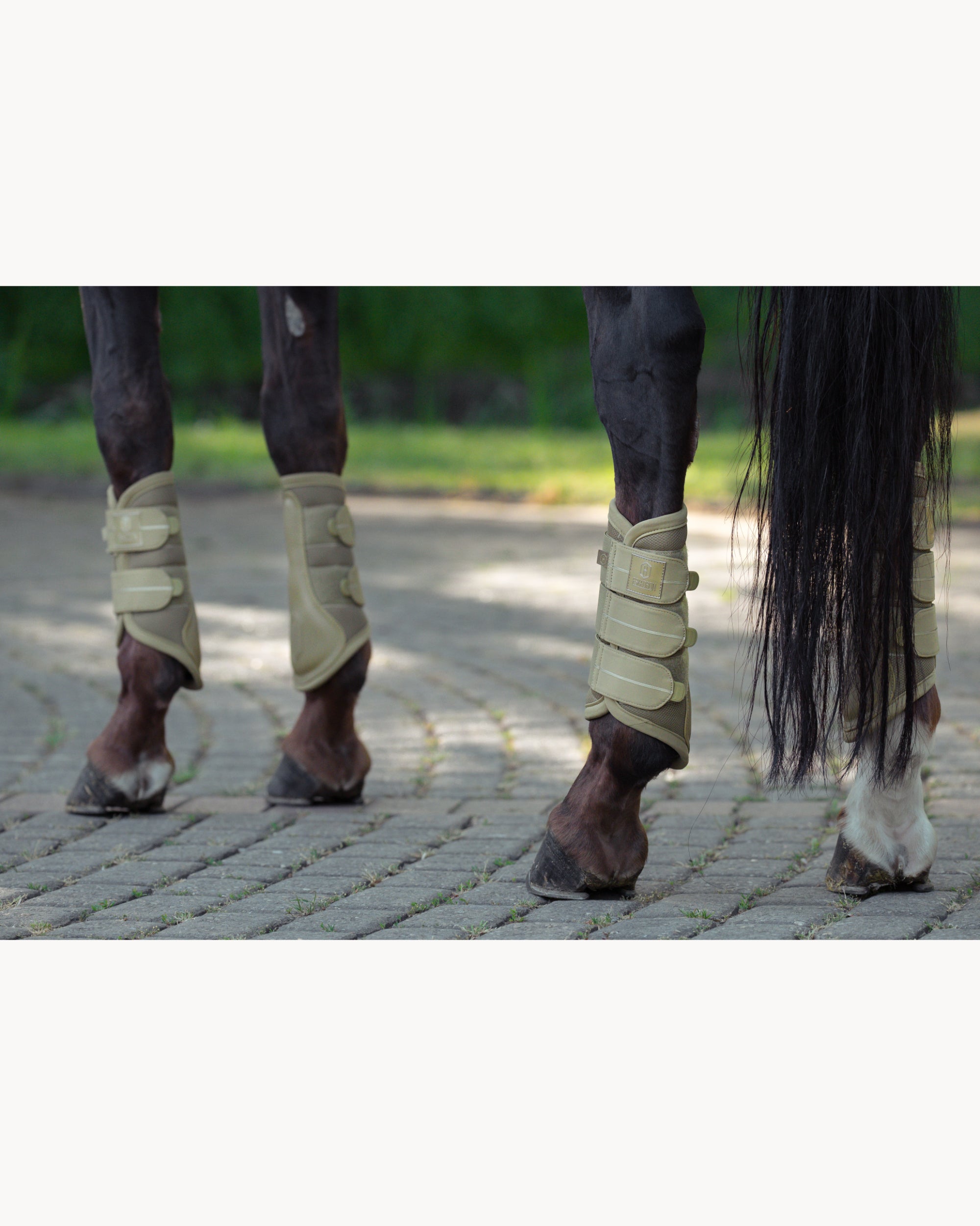 Eskadron Mesh Tendon Boots Heritage 25