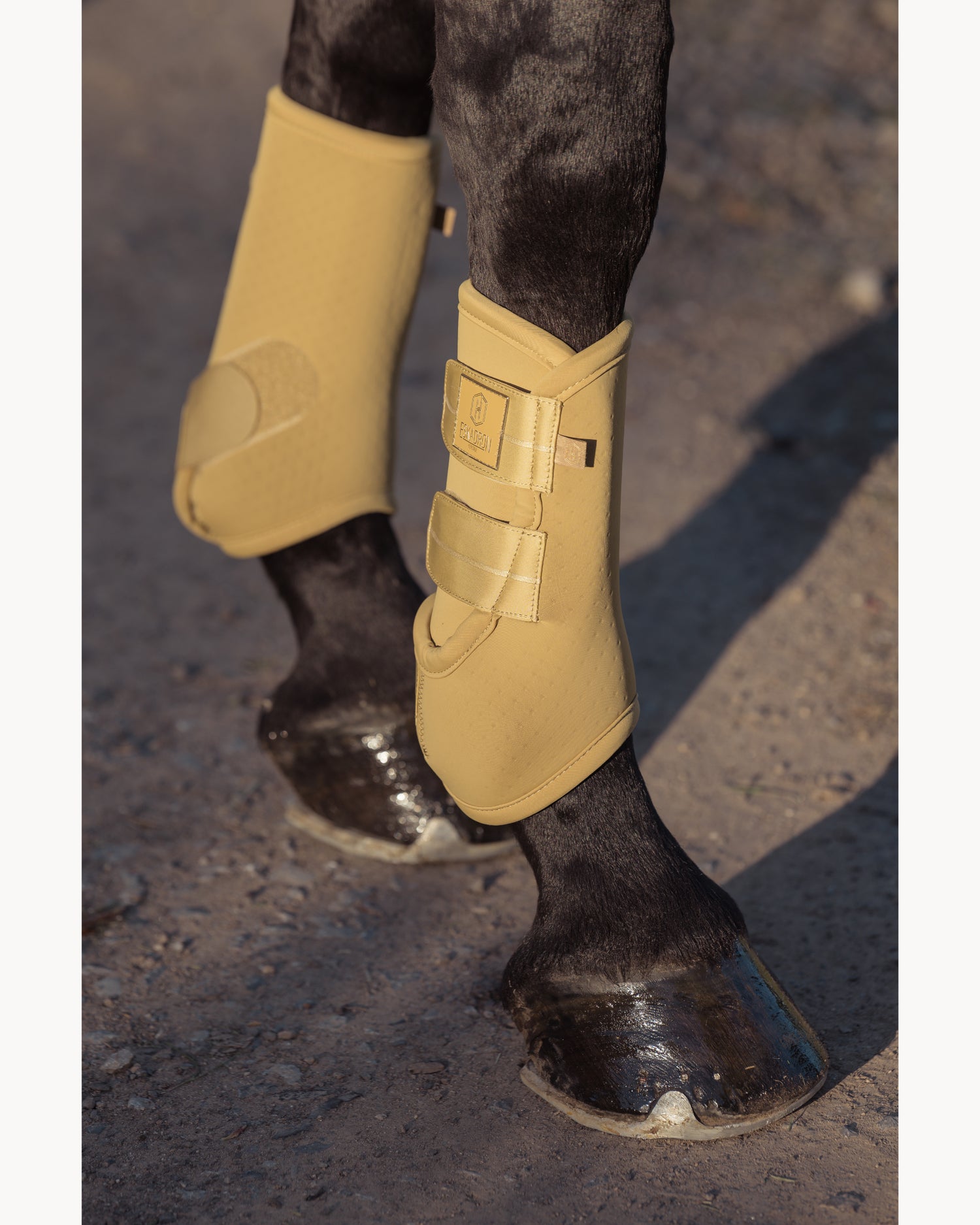 Eskadron Pro Dressage Front Tendon Boots Heritage 25