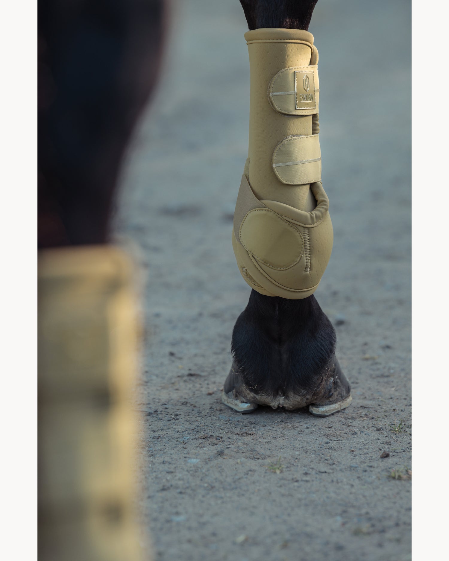 Eskadron Pro Dressage Front Tendon Boots Heritage 25