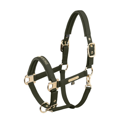 HERITAGE FAUX LEATHER DOUBLE PIN Headcollar - Deep Moss