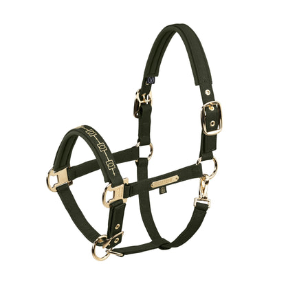HERITAGE SPARKLE DOUBLE PIN Headcollar - Deep Moss