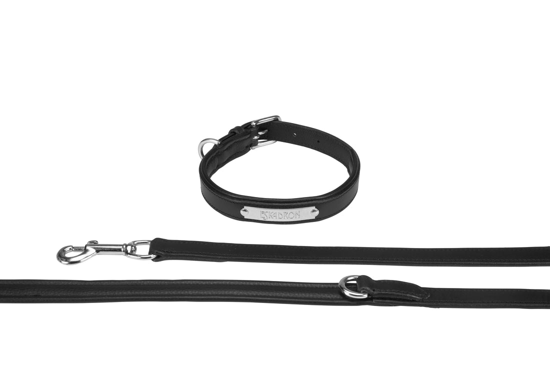 Eskadron Leather Dog Collar And Lead Set