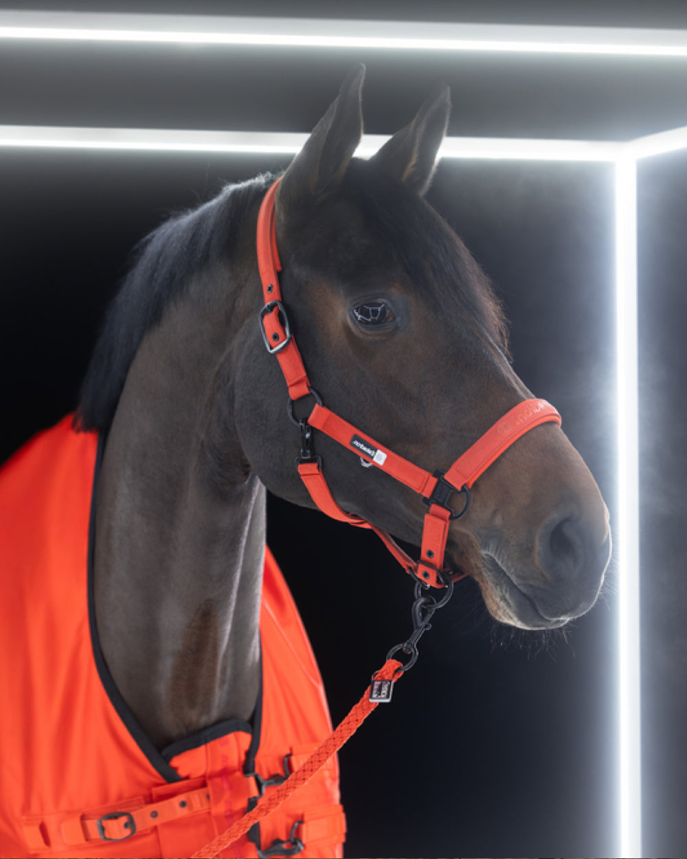 Eskadron Sparkle Double Pin Headcollar Dynamic 25