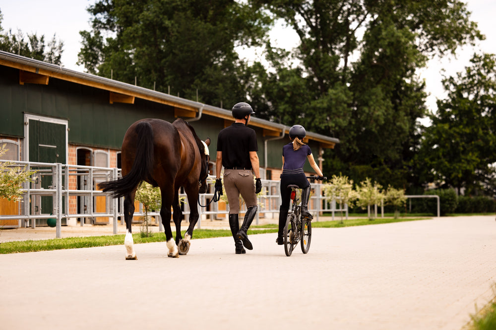 Abus x Pikeur AirDuo Riding Helmet