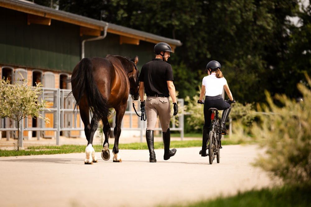 Abus x Pikeur AirDuo Riding Helmet