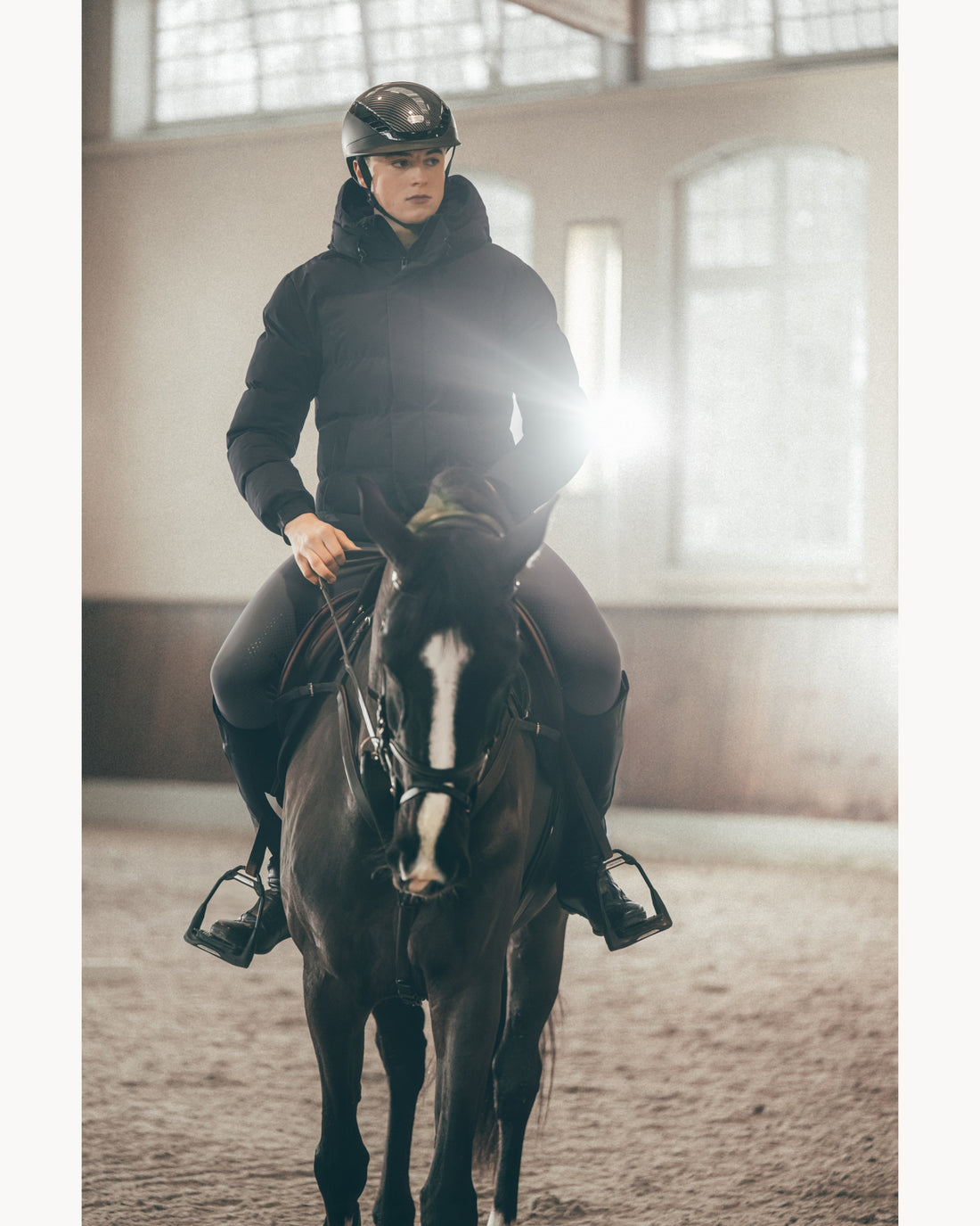 Pikeur Steven Mens Quilted Jacket 2015 *Pre-order for September/ October Dispatch*