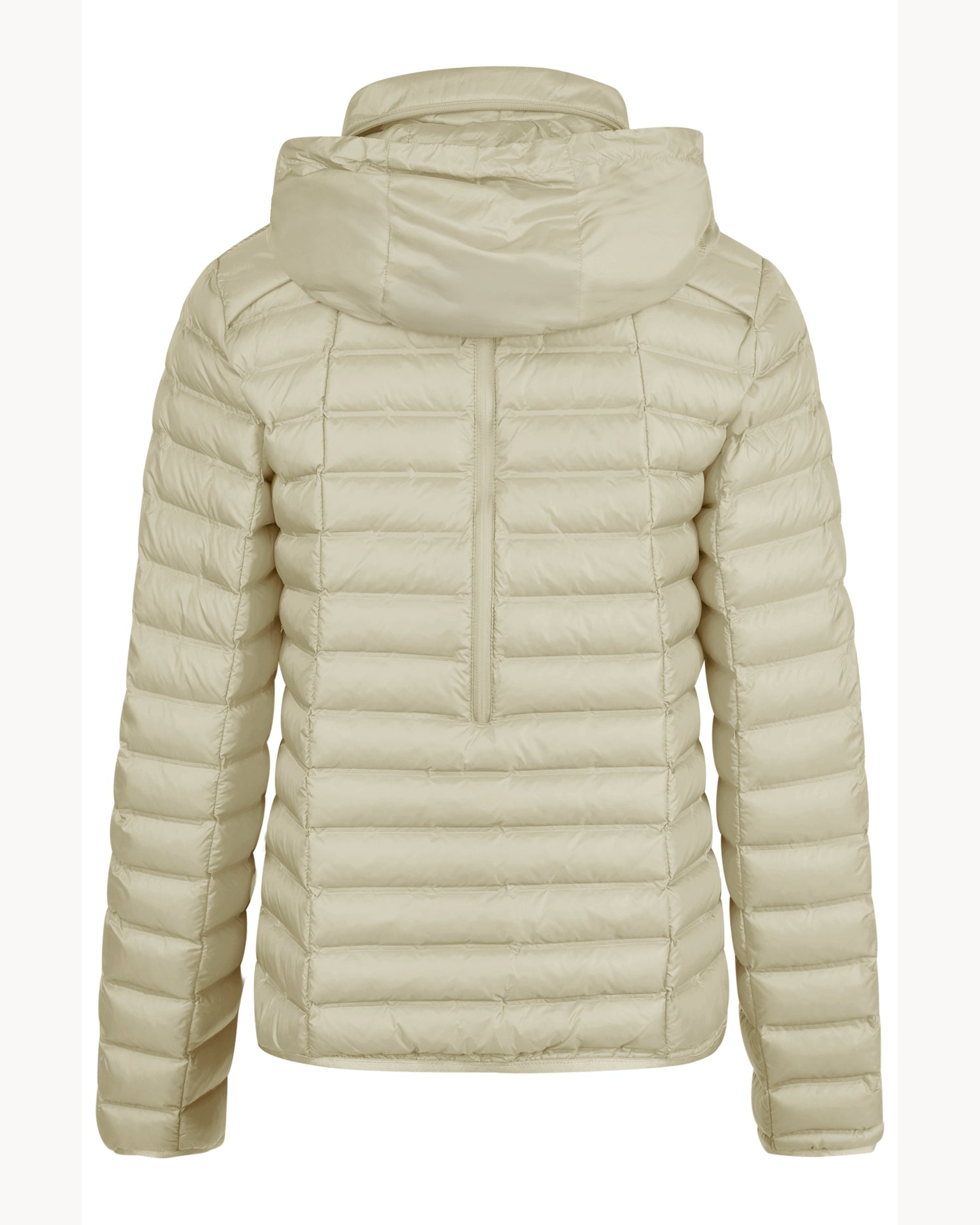 Pikeur Tanya Ladies ‘Hidden-Hood’ Jacket 1023 *Pre-Order for April Dispatch*