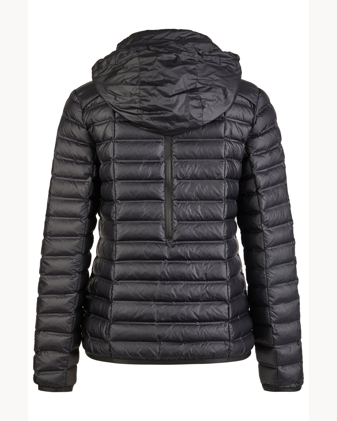 Pikeur Tanya Ladies ‘Hidden-Hood’ Jacket 1023 *Pre-Order for April Dispatch*