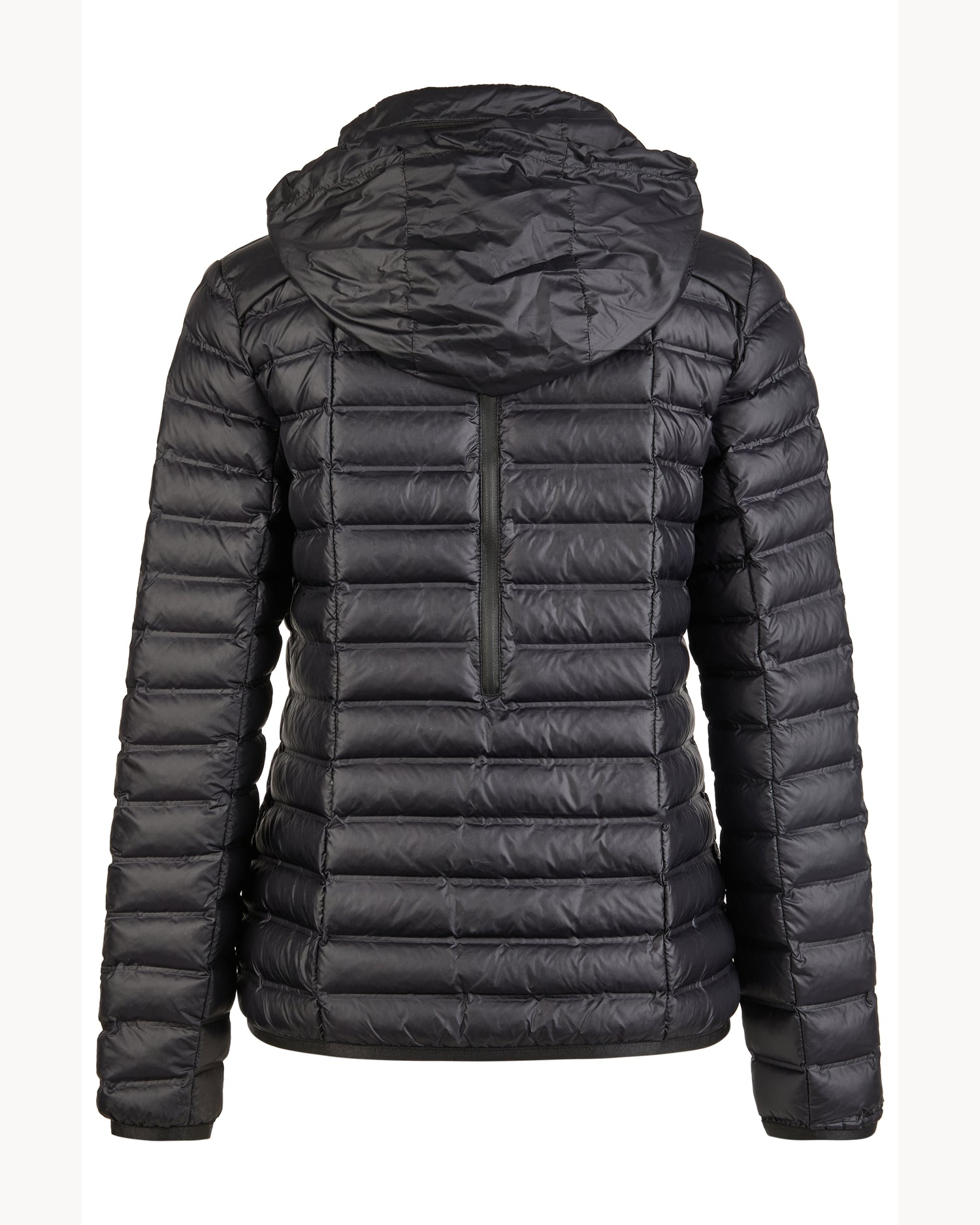 Pikeur Tanya Ladies ‘Hidden-Hood’ Jacket 1023 *Pre-Order for April Dispatch*
