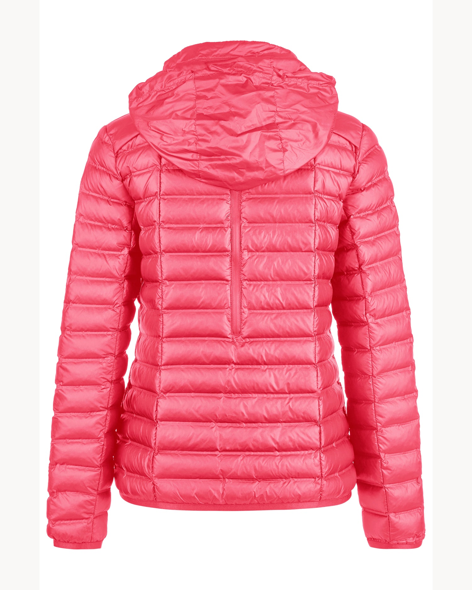 Pikeur Tanya Ladies ‘Hidden-Hood’ Jacket 1023 *Pre-Order for April Dispatch*