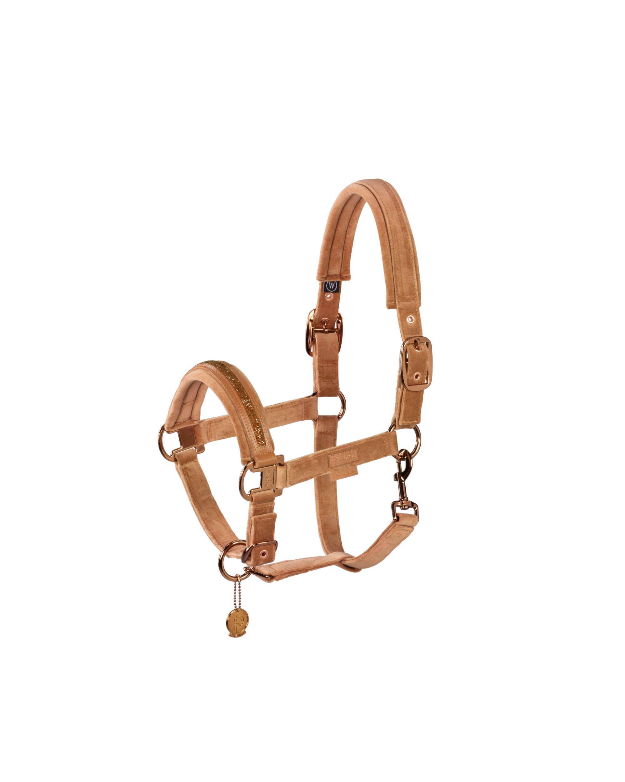 Eskadron Velvet Jewel Double Pin Head Collar Platinum Summer 2023 -Cognac-Shetland (P1)-